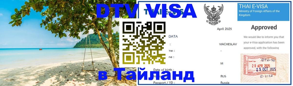 Сколько стоит DTV виза — актуальные цены, оформление даже без документов - 09.12.2025 